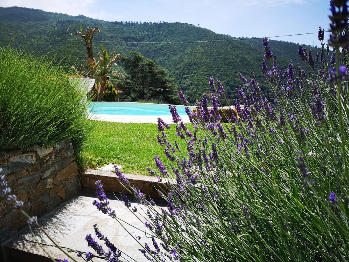 Agriturismo Ca Due Nonu Vallebona Экстерьер фото